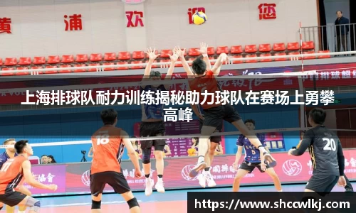 上海排球队耐力训练揭秘助力球队在赛场上勇攀高峰